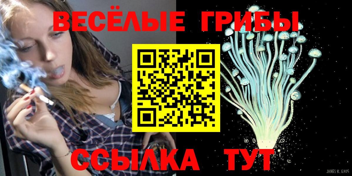 Галлюциногенные грибы Psilocybine cubensis Лениногорск