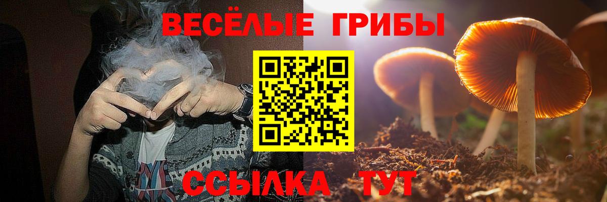Лениногорск  Галлюциногенные грибы Psilocybine cubensis  Вход с VPN  Псилоцибиновые грибы Psilocybe 
